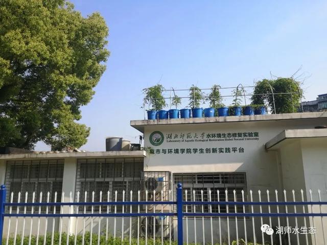 湖北省属高校首家、鄂东唯一！湖师大这个实验室，到底有多硬核？